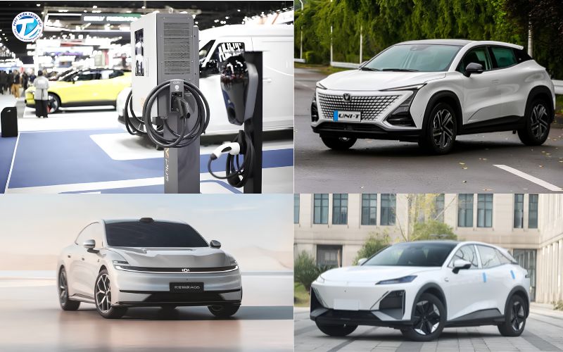 Tiềm năng phát triển và cơ hội tiếp cận người tiêu dùng Việt Nam